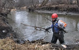 creek clearing